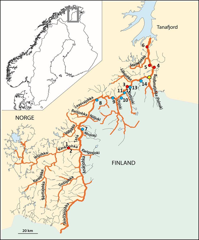 2. Vassdragsbeskrivelse Tanavassraget har et nedslagsfelt på 16 309 km 2, hvorav 70 % er i Norge og resterende 30 % er i Finland.