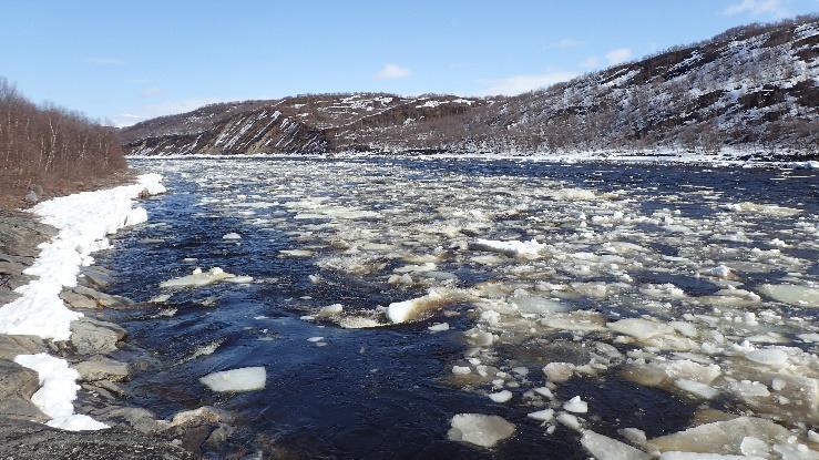 Som de siste årene løste isen seg gradvis opp, og kom etter hvert seilende ned Tanadalen som fredelige flåter av sørpe. Isgang i Tanavassdraget, Isen sprekker opp i Polmak 24.