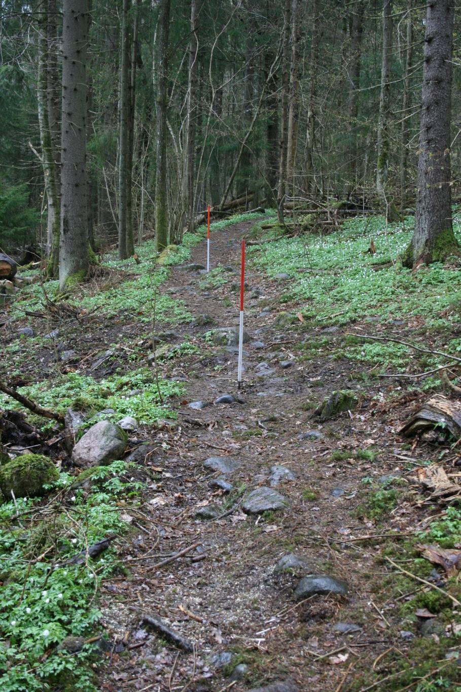 S3: Steinlagt veifar/skogsvei med hulveiløp. Veifaret lå lengst øst i tiltaksområdet ca. 12 m øst for hulveien (S2), og løp parallelt med denne. Veien var ca.