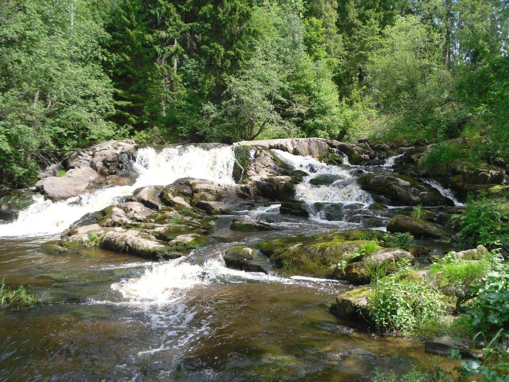 Terrenget i Narvestaddalen er av annen karakter enn oppstøms. Fra Narvestaddalen og sørover renner Hæra gjennom ravineterreng.