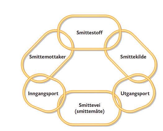 overliggende lovverk som blant annet Smittvernloven med diverse forskrifter.