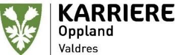 12.5 Karriere Oppland Valdres - samfunnskontrakten for flere læreplasser 2016-2020 Handlingsplan Karriere Oppland Valdres (10.09.