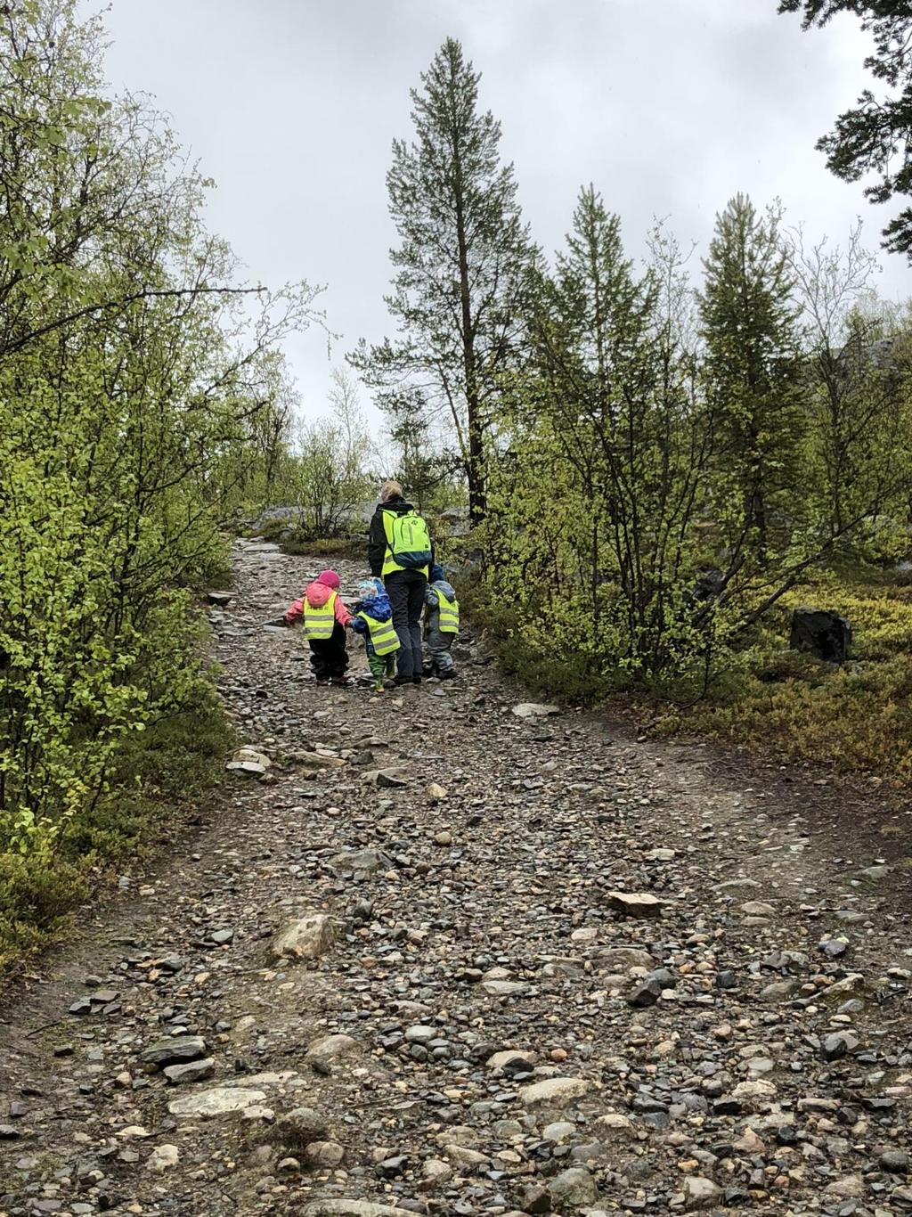 ÅRSPLAN 2018-19 IMI BARNEHAGE