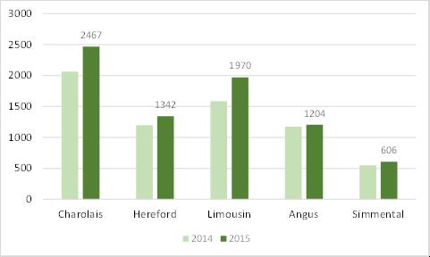 En ser av tabellen at antall stambokførte mordyr har en god økning for alle raser. Stambokføringskampanjen som ble kjørt i 2014 har hatt god virkning.