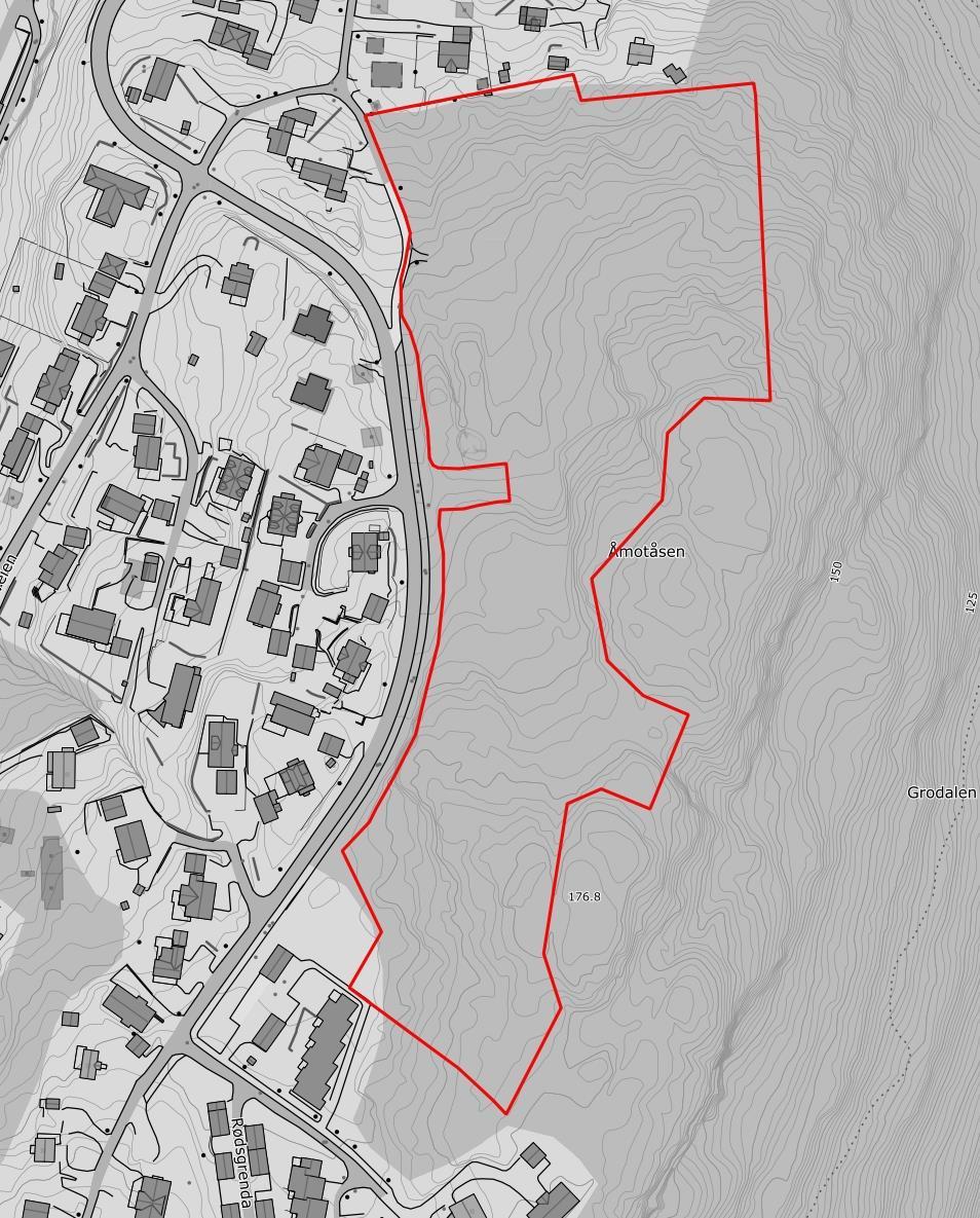 2 UTBYGGINGSPLANENE Planområdet består av vestsiden av Åmotåsen som i dag er bevokst med barblandingsskog i hogstklasse V.