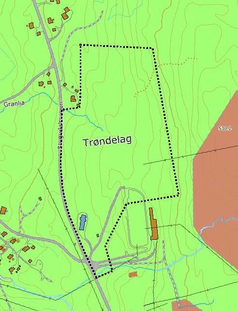 I følge NGUs berggrunnskart N250 er det grågrønn leirskifer med metagråvakke innenfor planområdet, mens Selbu og Tydal berggrunnskart, beskriver at