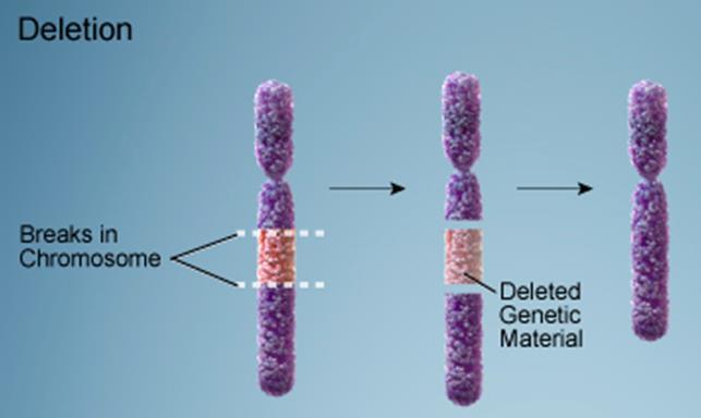 Genomiske strukturelle avvik Mange varianter, men delesjoner og duplikasjoner har