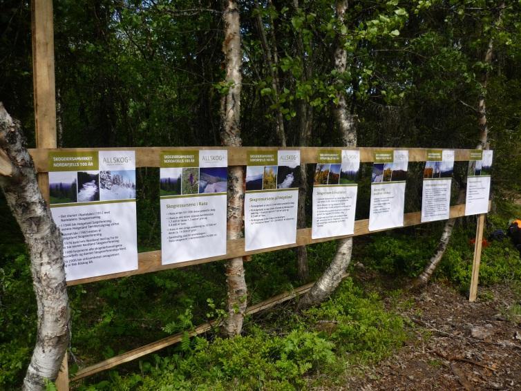temavise plakater om næringa Eksempelet viser anvendelse skogen som