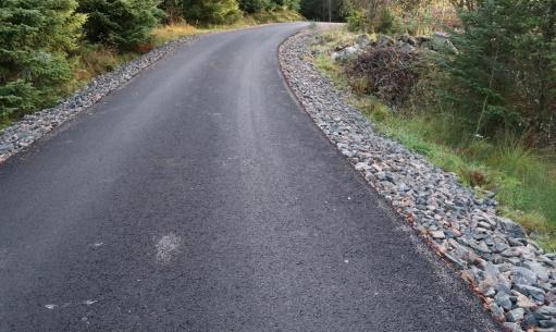 Over tid kan det bli problemer med vegens bæreevne, som igjen medfører redusert levetid på asfaltdekket.