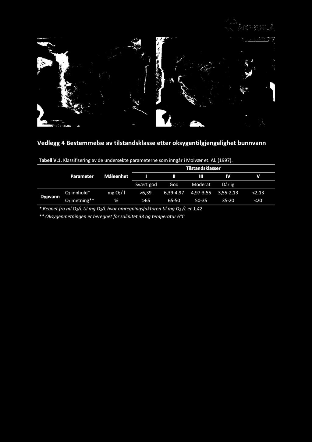 Dypvann Parameter Måleenhet Tilstandsklasser I II III IV V Svært god God Moderat Dårlig Svært dårlig O2 innhold* mg O2/ l >6,39 6,39-4,97