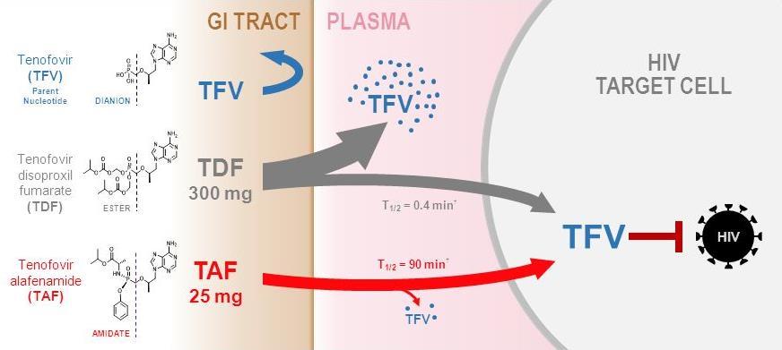 Tenofovir disoproxilfumarat