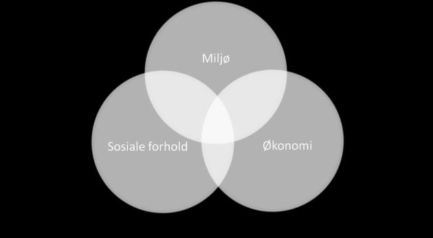 er avhengige av både lokalsamfunn, kulturarv og infrastruktur (felles goder)