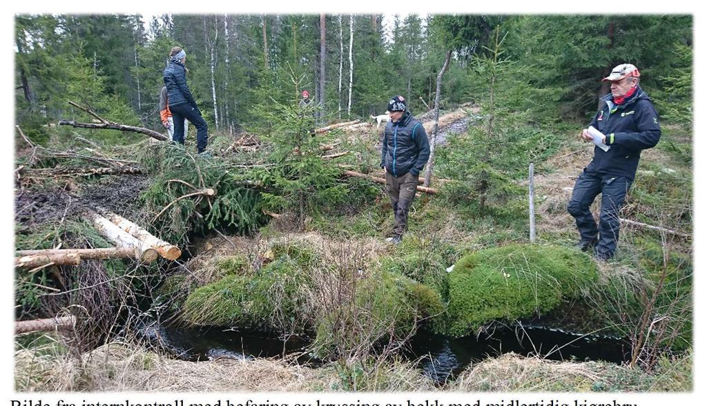 Opplæringstiltak/kompetanseutvikling. Kompetanseutvikling skjer for Stangeskovene på flere nivåer: Utvikling av kompetanse i sentralleddet som faglig grunnlag for selskapets virksomhet.