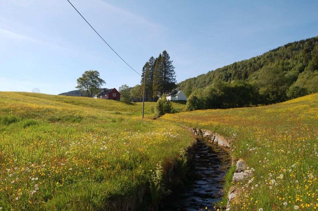 Fra innkjøringen til Redal østfra via rv. 611, det et flott utsiktspunkt mot Engebøfjellet og Førdefjorden vestover. Ved Redal og ved øvre Redalen ligger flere gårder, bolighus og naust.