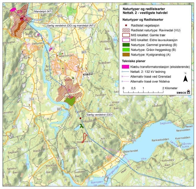 registrert en lokalitet med gammelskog, en lokalitet med gråor-heggeskog (liskog/ravine) og en lokalitet med kystgranskog i influensområdet for