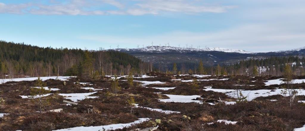 områdene som ligger nærmere (sørsiden av Selbusjøen), vil tett skog sannsynligvis skjule noen av disse turbinene. Også fra sørsiden vil 46-60 turbiner være synlige enkelte steder.