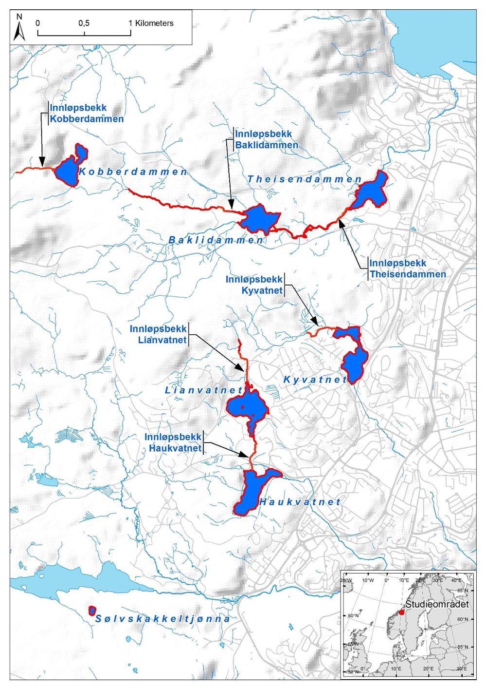 2 Områdebeskrivelse 2.1 Lokalitetene De undersøkte vatna med tilliggende bekker ligger i Bymarka i Trondheim kommune (figur 1).