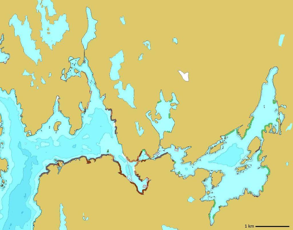 Tett grisetang Glissen grisetang Tang Bare grønnalger Rur ikke tang Sælenvannet