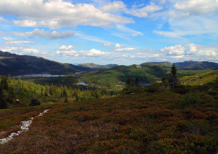 Lifjell - Bø i Telemark Kilde: