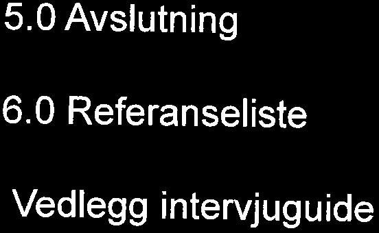 4 Lederrollen i konflikter 5.0 Avslutning 6.0 Referanseliste Vedlegg intervjuguide s. 3 s. 4-5 s. 6-8 s. 8-10 s.