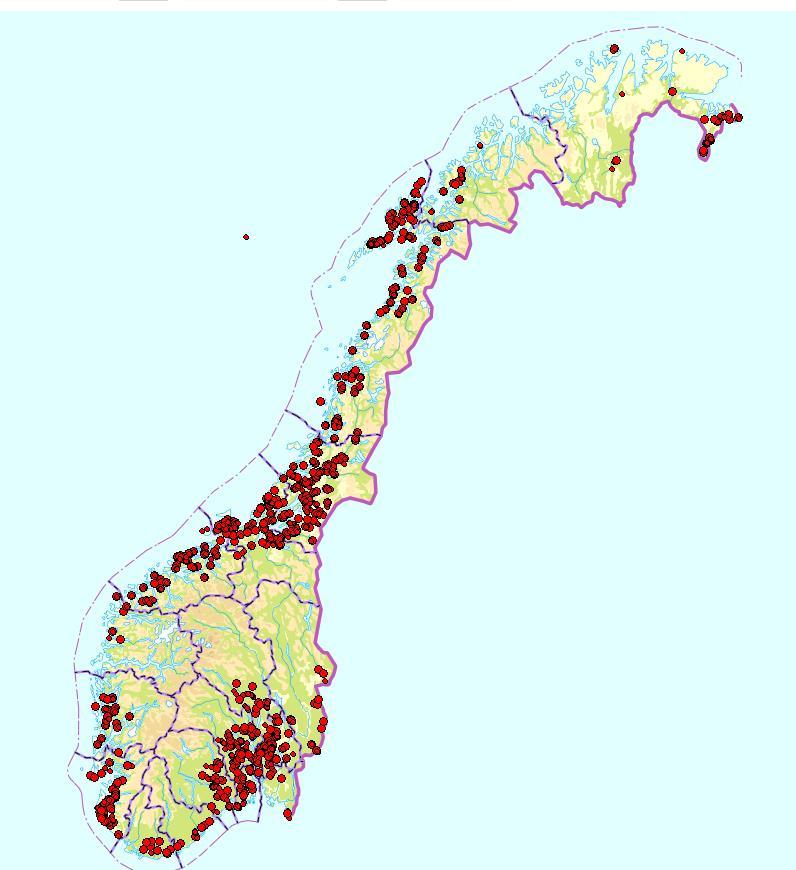 Man kan ha to eller flere populasjoner av elvemusling i samme lokalitet som kan være adskilt av avstand/vandringshinder/innsjøer eller krav til verstfisk. Figur 4. Utbredelsen til elvemusling i Norge.