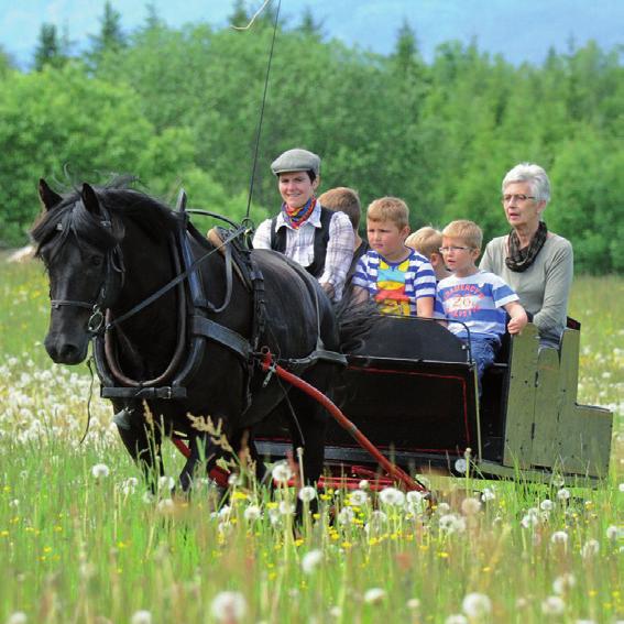 Tradisjonene holdes levende med enkel gårdsdrift, så her har vi blant annet potetåker, humlehage og hesjer med gras til dyrefor.