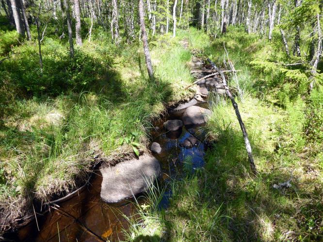 3 Metoder og materiale Feltarbeidet ble gjennomført under gode observasjons- og arbeidsforhold 08.06.2018.