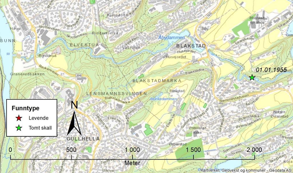 utdødd. I 2018 gjennomsøkte Kim Abel og Tomas Westly strekket fra Åbydammen og opp til Bondivann. Ingen levende elvemuslinger ble funnet.