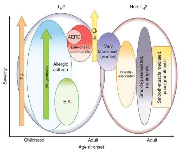 10 Endotypes or phenotypes? Asthma syndrome? Phenotype: Subtype with distinct observable characteristics.