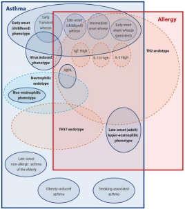 Relationship of Allergy with Asthma Guibas GV et al., Front Pediatr.