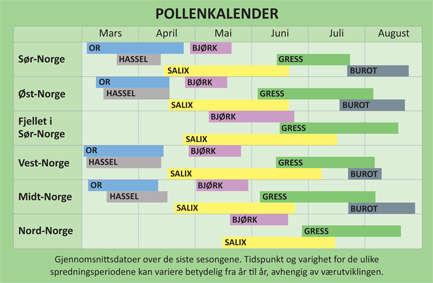 Utredning Anamnese Klinisk us.