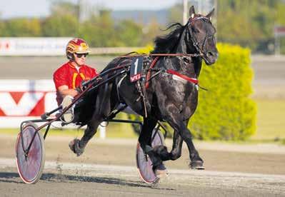 Han erobret de to klassikerne Biri oppdretningsløp og Svenskt Kallblodsderby og i et herlig og uanstrengt trav.