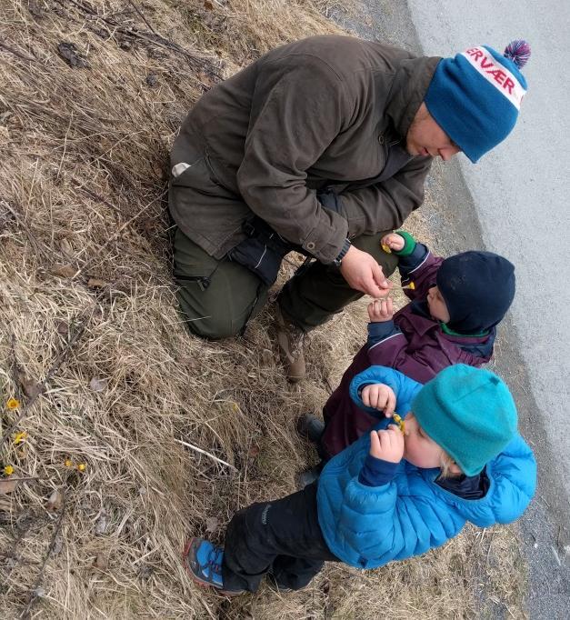 Hva har ekornbarna gjort i april og mai. Vår og sansene våre Naturens mangfold kommer virkelig til syne om våren.