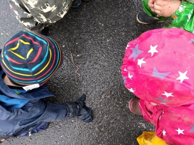 Barna er aktive oppdagere, og sammen har vi gått på mange småkrypjakter, både ute i barnehagen og på tur.