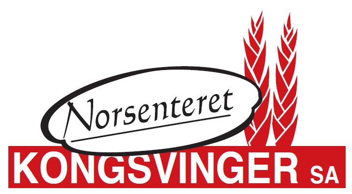 NORSENGA - ØSTRE SOLØRVEG 124 2211 KONGSVINGER