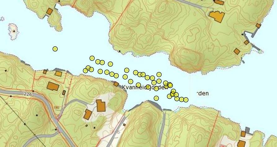 Arter Karplanter/ålegras: Hovedvekten er lagt på ålegras som er detaljkartlagt i området, se metodekapitlet. En kort beskrivelse av landvegetasjonen er gitt fra strandsonen.