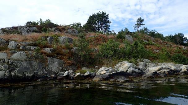 Vegetasjonen langs strandsonen er preget av fattige svaberg og rikere områder der veiene går ned til sjøen gjennom småsøkk med