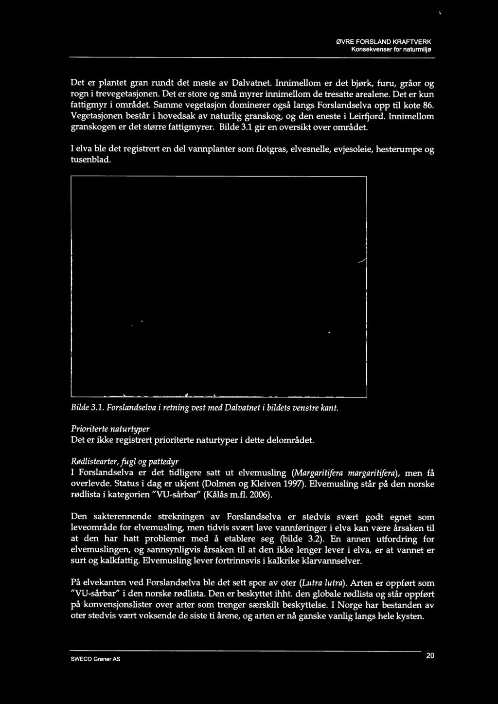 Rødlistearter, fugl og pattedyr I Forslandselva er det tidligere satt ut elvemusling (Margaritifera margaritifera), men få overlevde. Status i dag er ukjent (Dolmen og Kleiven 1997).