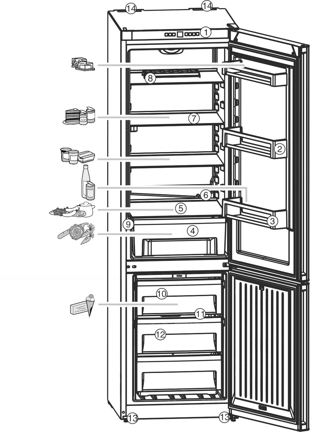 Fig. 5