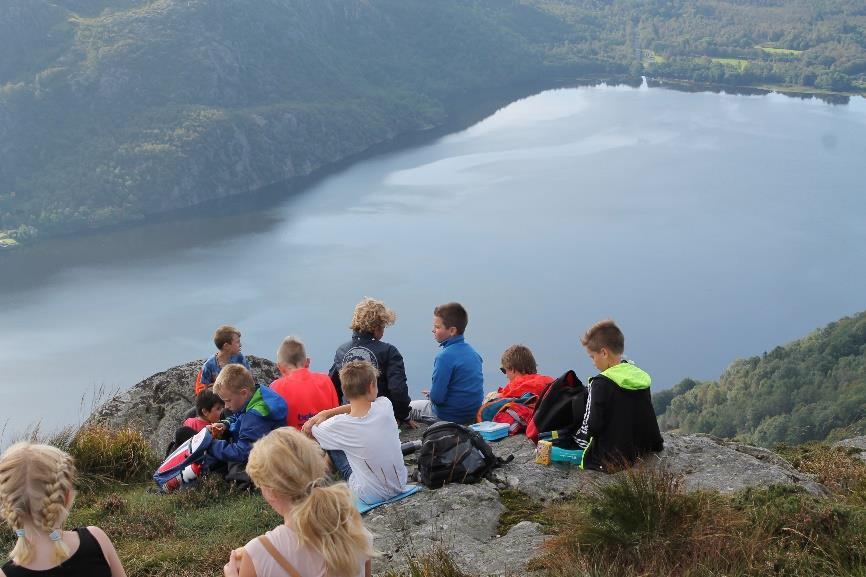 Hvem og hva styrer skolen?