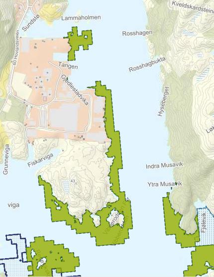 Naturmangfold I følge temakart-rogaland 1 er det registrert tareskog av svært viktig verdi (verdi A) i umiddelbar nærhet av det omsøkte tiltaksområdet, på hver side av Gjellestadsvika (figur 1).