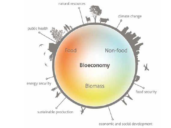Bioøkonomien "inviterer" til biomarin industriutvikling "Bioøkonomien omhandler bærekraftig produksjon av fornybare biologiskeressurser og omdanningav disse til mat, fôr, bio-baserte produkter og