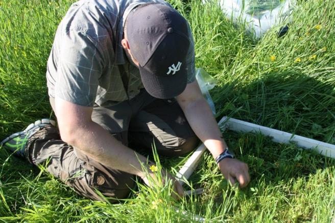 Til slutt kuttet vi gras i