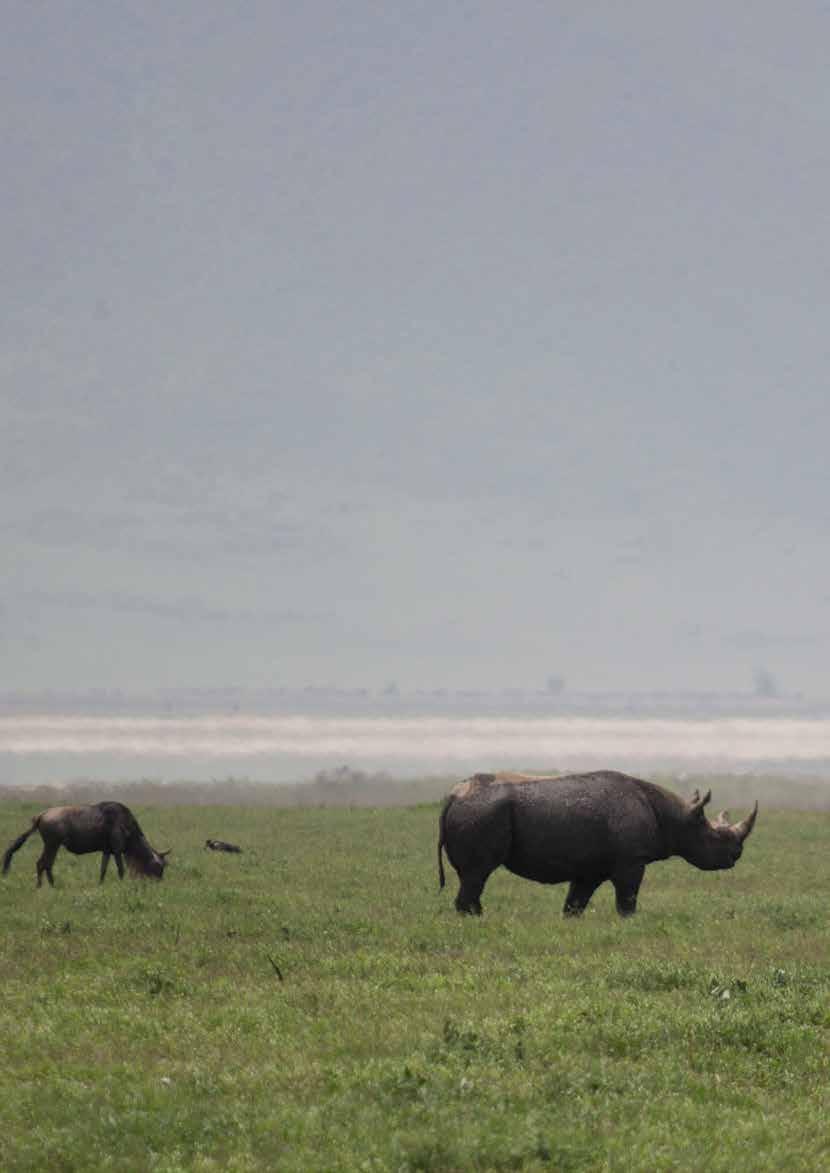 BLI KJENT MED TANZANIA TANZANIA -villmarkens land Tanzania er et land med store kontraster; fra Afrikas laveste punkt i Lake Tanganyika, til den snødekte toppen på Afrikas høyeste punkt Mt.