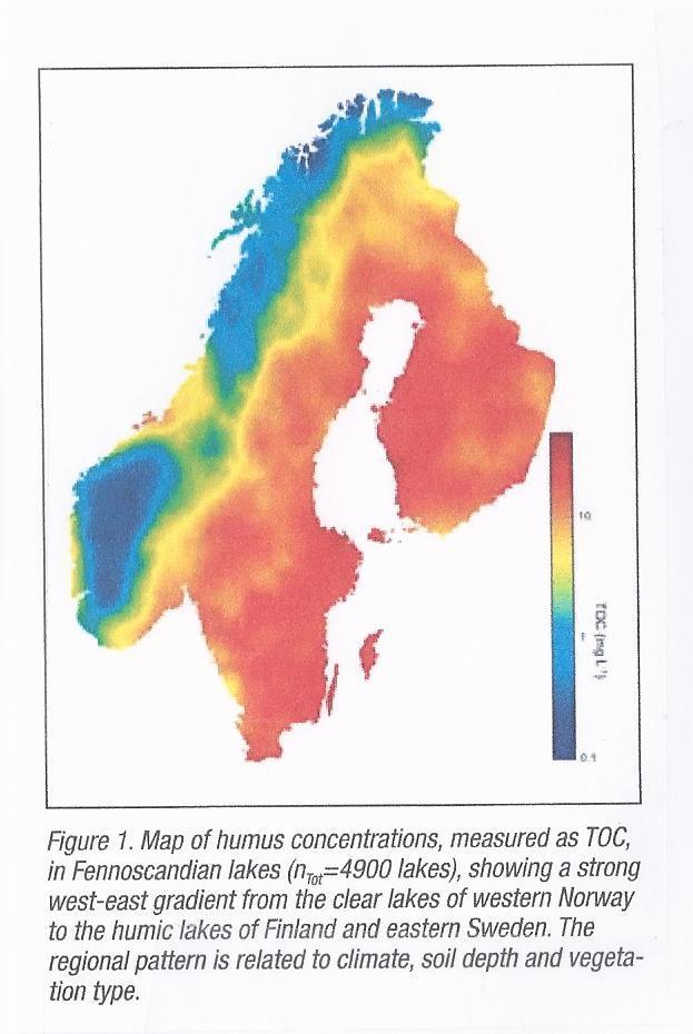 TOC (mg L -1 ) i innsjøer regionale