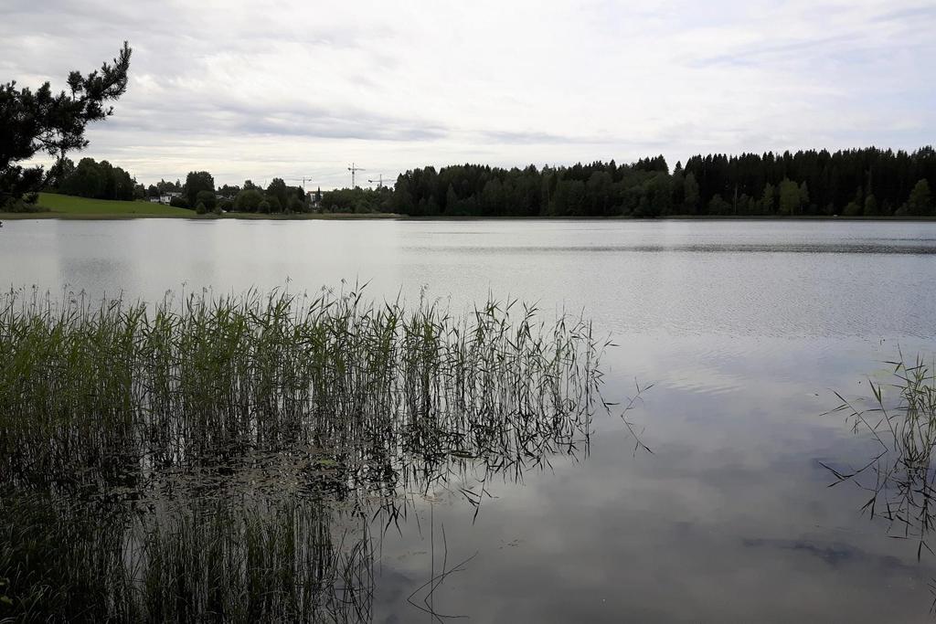 overvåking av Nordbytjern 2017 Trond