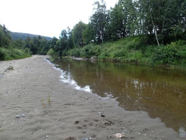 5.13 Flomdam ved Litjelva Bilde: Oversiktsbilde sett mot nordøst (t.v). Det var mye trepigget stingsild i flomdammen (t.h).