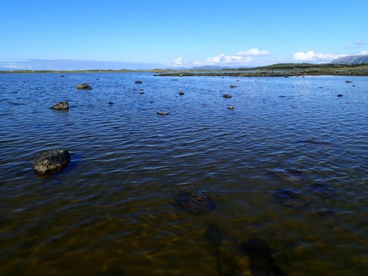 5.20 Stortjønna Bilde: Oversiktsbilde sett mot nord (t.v). Undervannsbilde av bustkrans Chara aspera (t.h).