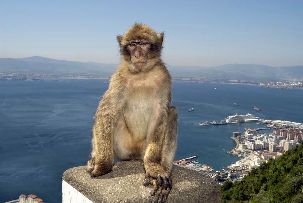 Ikke til å undres over at Gibraltars airport er rangert som en av 10 farligste