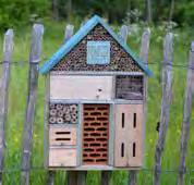 frodig grønn hage. Et komfortabelt bosted for flere ulike insekter.